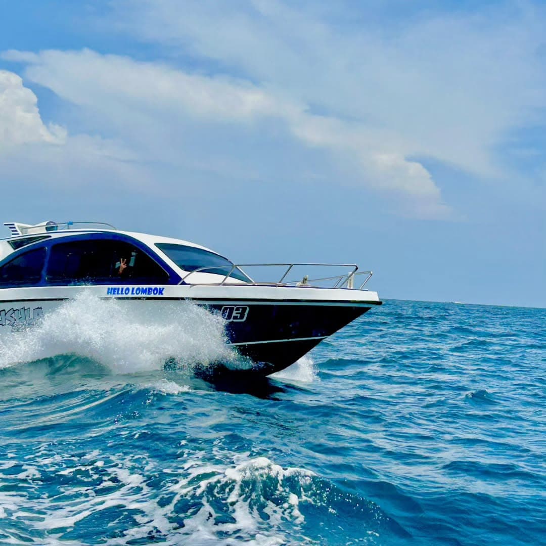 Los Haitises Mountain Bike + Private Boat Trip — Guided tour and outdoor activity