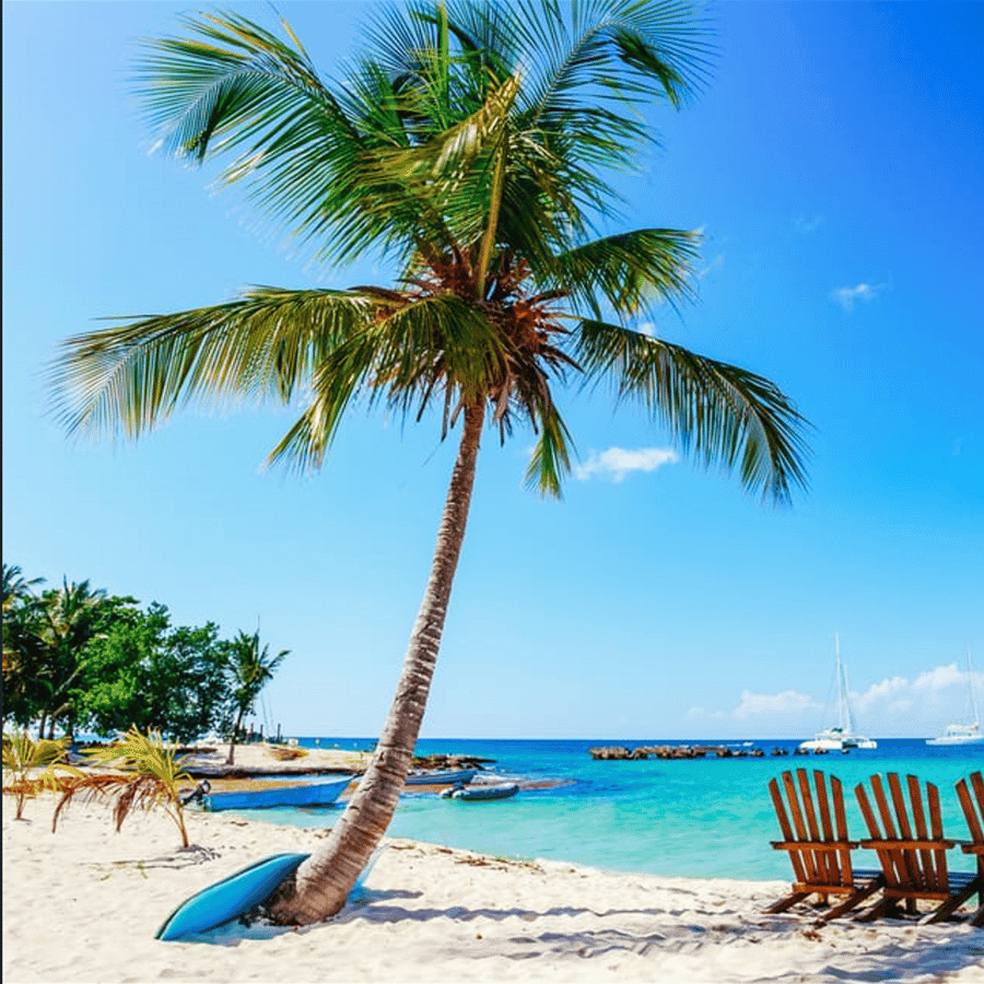 Punta Cana: 2-Day Saona Island and Los Haitises Adventure â Guided tour and outdoor activity