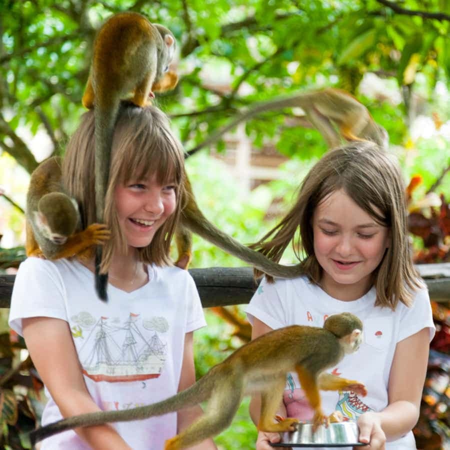 Samaná: Monkeyland and Open-Air Safari Truck Tour — Guided tour and outdoor activity