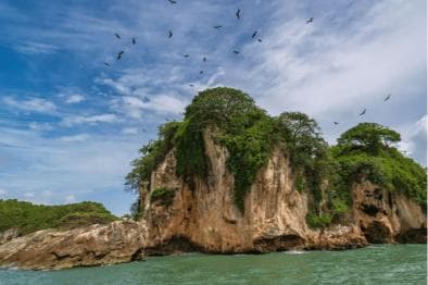 Sabana de la Mar:Los Haitises National Park: Boat Tour and Cave Visit â Guided tour and outdoor activity