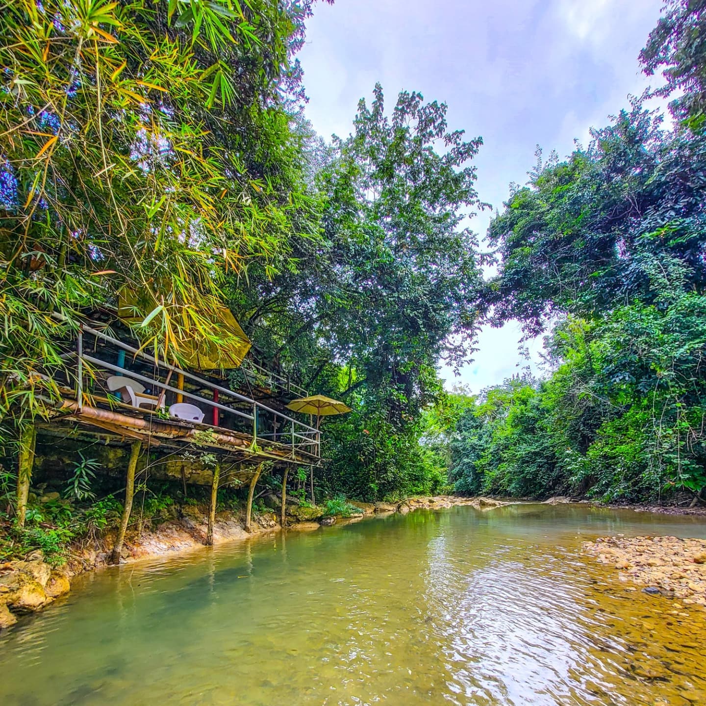 3in1: Los Haitises N. Park + Waterfalls + Montaña Redonda â Guided tour and outdoor activity